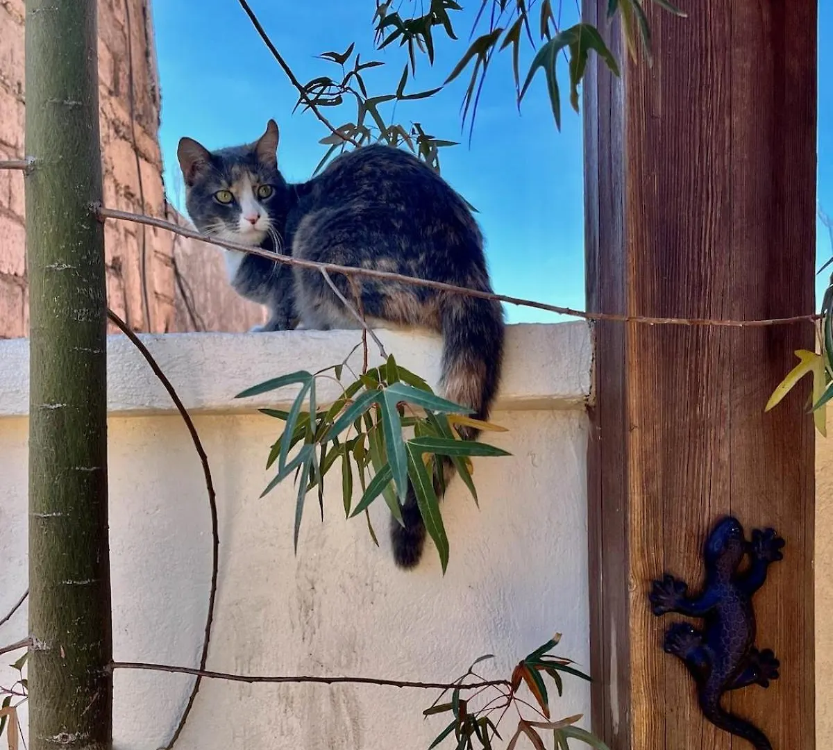 Riad Des Sources Marrakesh Holiday home